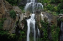 Ravine St-Gilles Walk  'Bassin des Aigrettes' (9)